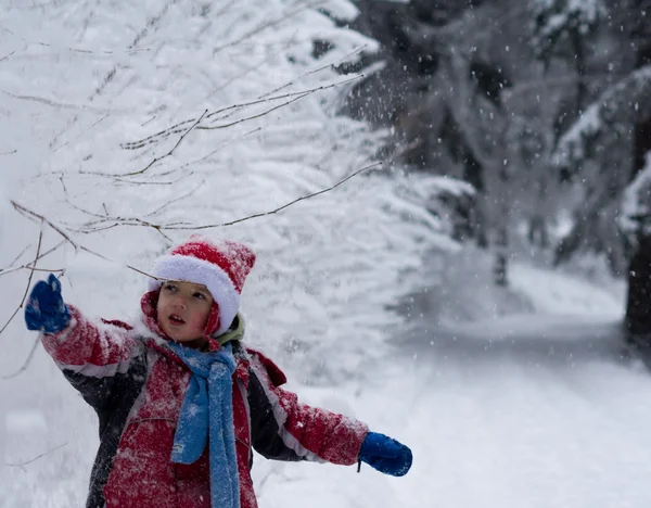 Ragazzo nella foresta invernale — Foto Stock