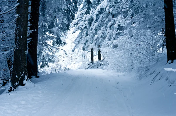 Estrada no inverno — Fotografia de Stock