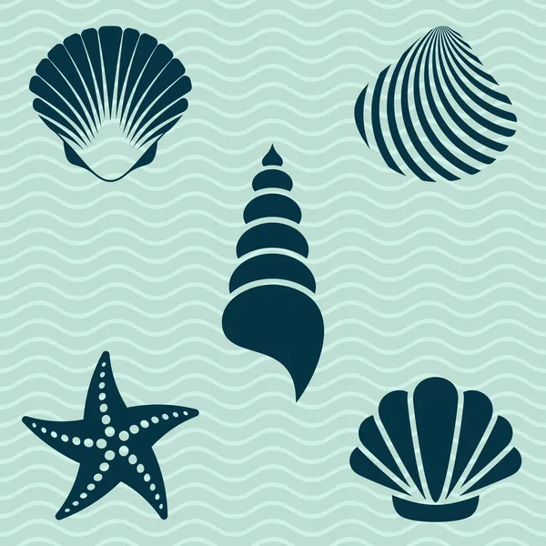 Sea shells — Stock Vector