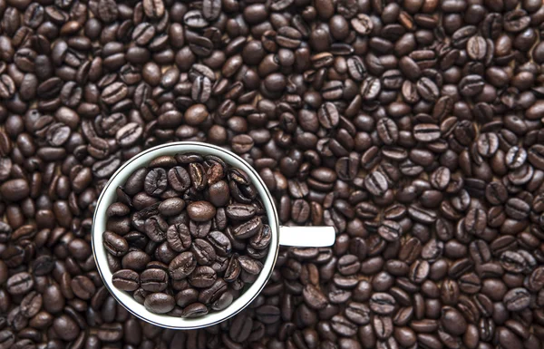 Coffe cup beans — Stock Photo, Image