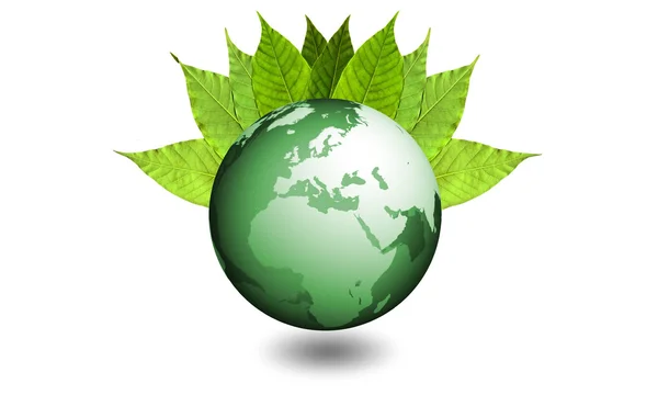 toprak biyolojik çevre doğa ekoloji Avrupa Afrika Asya soyut