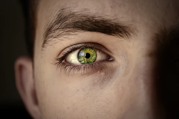 güzel renkli yeşil göz yakın çekim