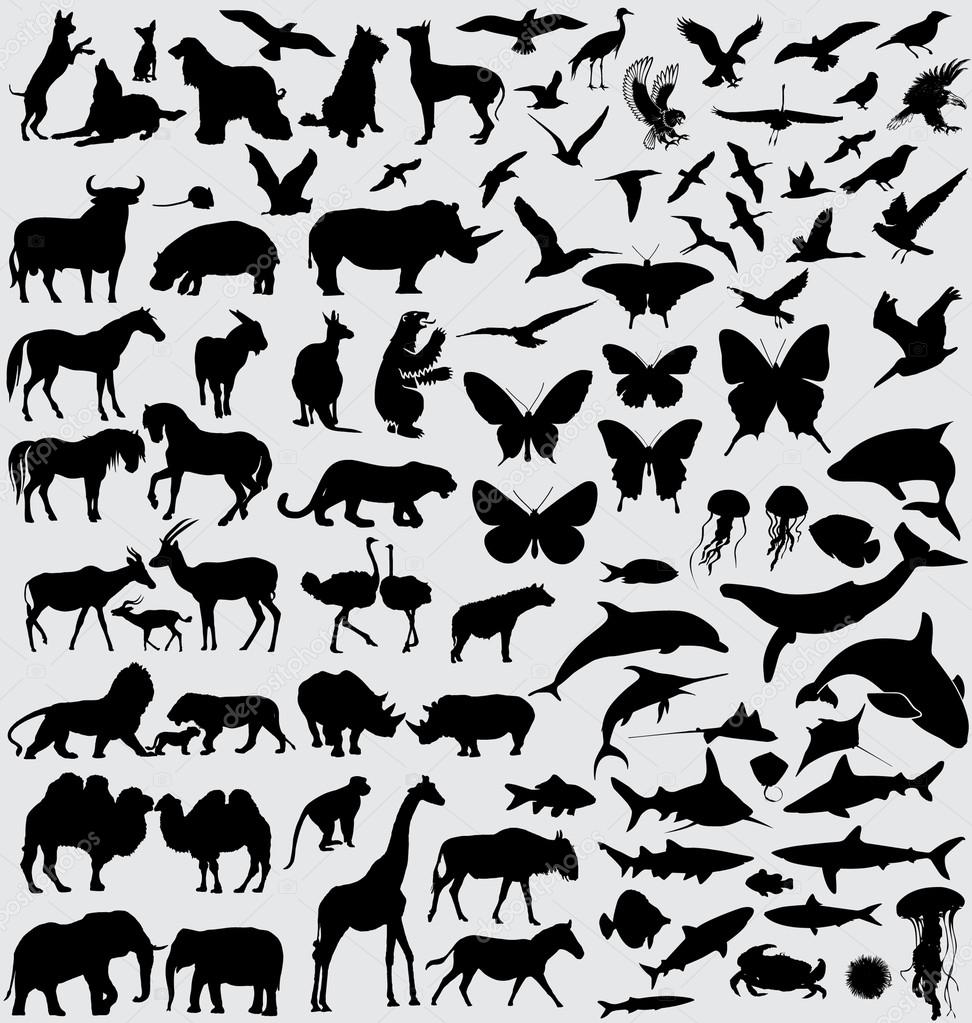 Animals silhouette set vector