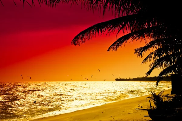 MUI ne de kırmızı günbatımı