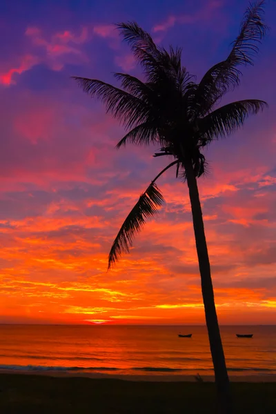 vietnam kıyısında günbatımı