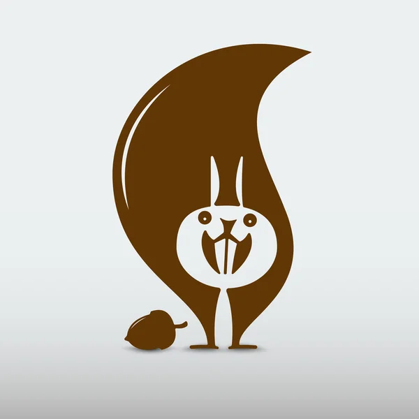 kahverengi sincap fındık