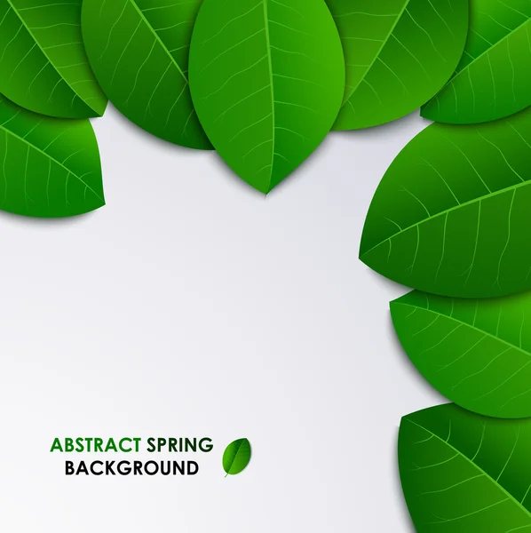 Abstract spring fresh background with green leaves — Stock Vector