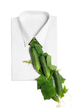 Necktie clipart