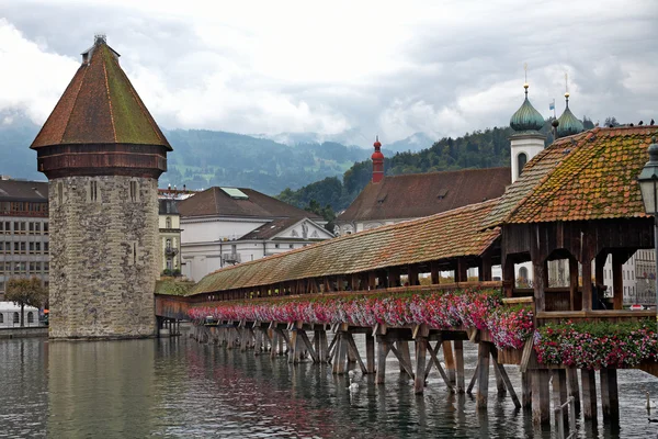 Lucerne — Stock Photo, Image