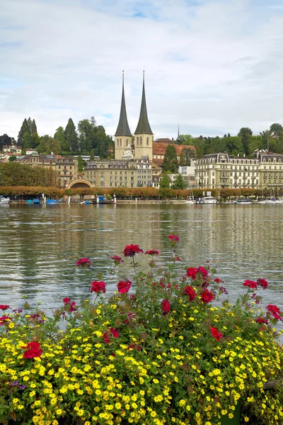 Lucerne — Stock Photo, Image