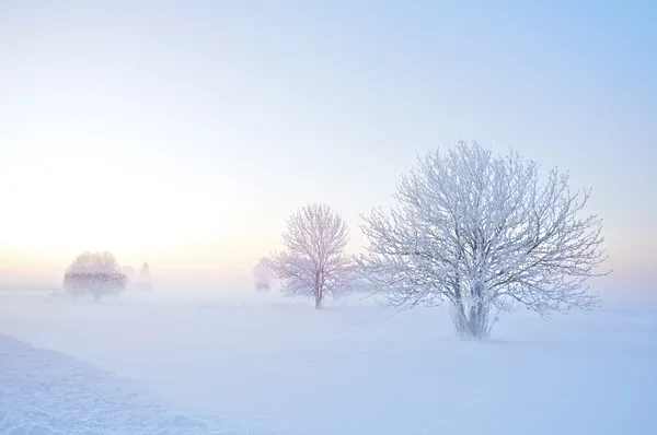 Hava Durumu — Stok fotoğraf