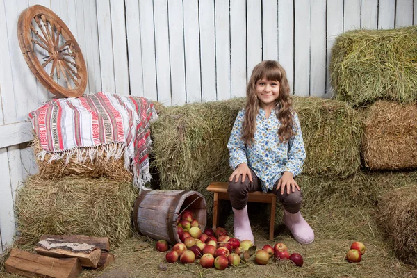 Portrait of girl villager near pail with apples in hayloft — Stock Photo, Image