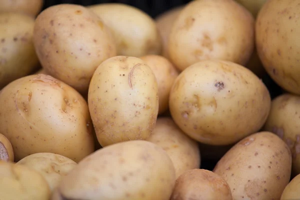 Groep van jonge ruwe aardappelen in de schil close-up — Stockfoto