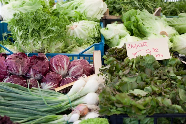 Čerstvé vegetariánské zelení v otevřené tržišti rostlinného — Stock fotografie