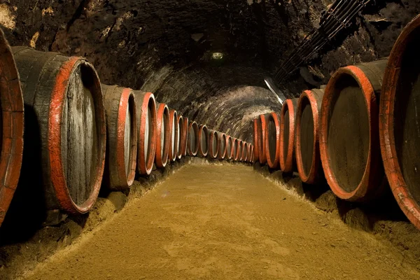 Vin fat i vingården källare — Stockfoto