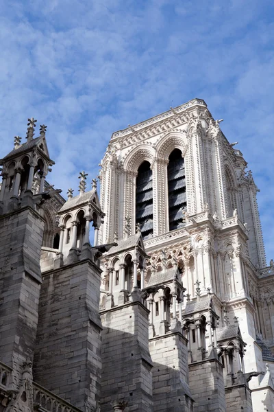 Landmark Gothic cathedral Notre-dame on Cite island in Paris Fra — Stock Photo, Image