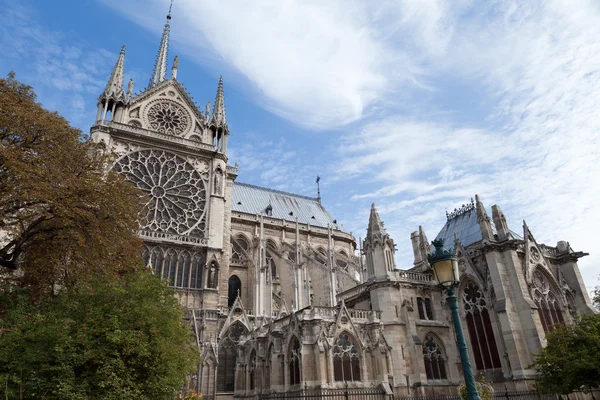 Landmark Gothic cathedral Notre-dame on Cite island in Paris Fra — Stock Photo, Image