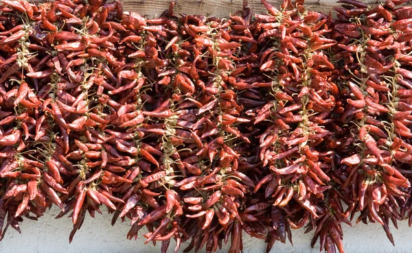 Bundle of dried red cayenne hot pepper — Stock Photo, Image