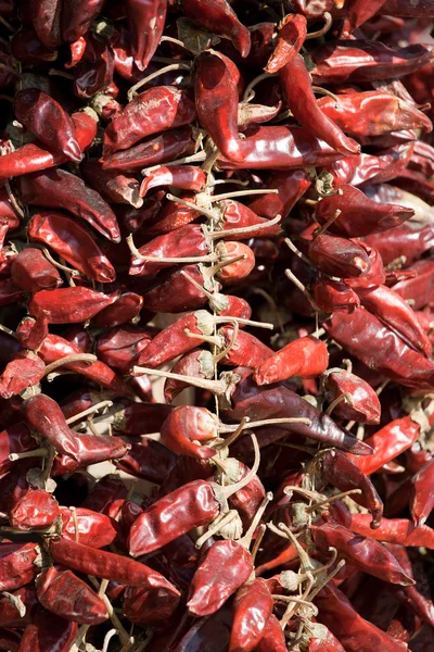 Bundle of dried red cayenne hot pepper — Stock Photo, Image