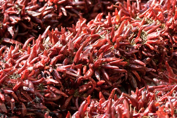 Bundle of dried red cayenne hot pepper on market — Stock Photo, Image
