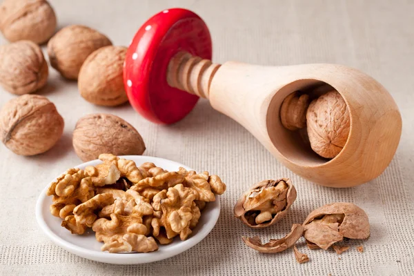 Nut kernels in plate, Circassian walnuts, nutcracker, nutshell o — Stock Photo, Image