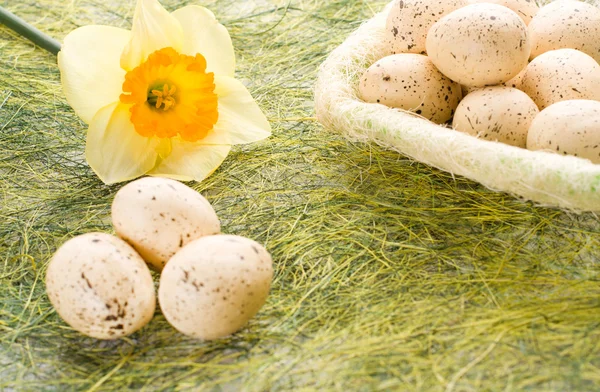 Daffodil e cesta com ovos de Páscoa — Fotografia de Stock