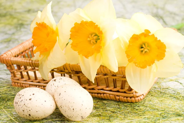 Daffodils na cesta e ovos de Páscoa — Fotografia de Stock