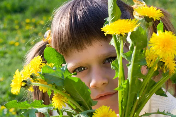 Liten flicka peeps ut igenom massa maskrosor — Stockfoto