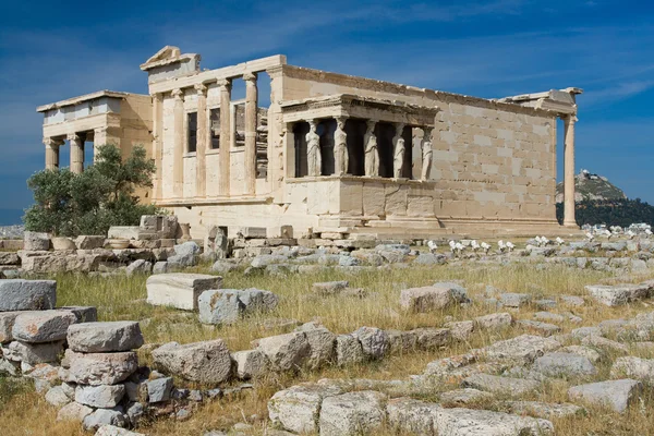 Antico Tempio Eretteo nell'Acropoli Atene Grecia su sk blu — Foto Stock