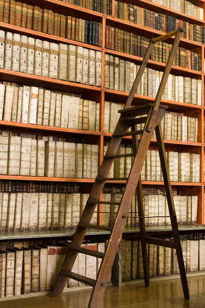 Bibliothek voller alter Bücher und Leiter Stockbild