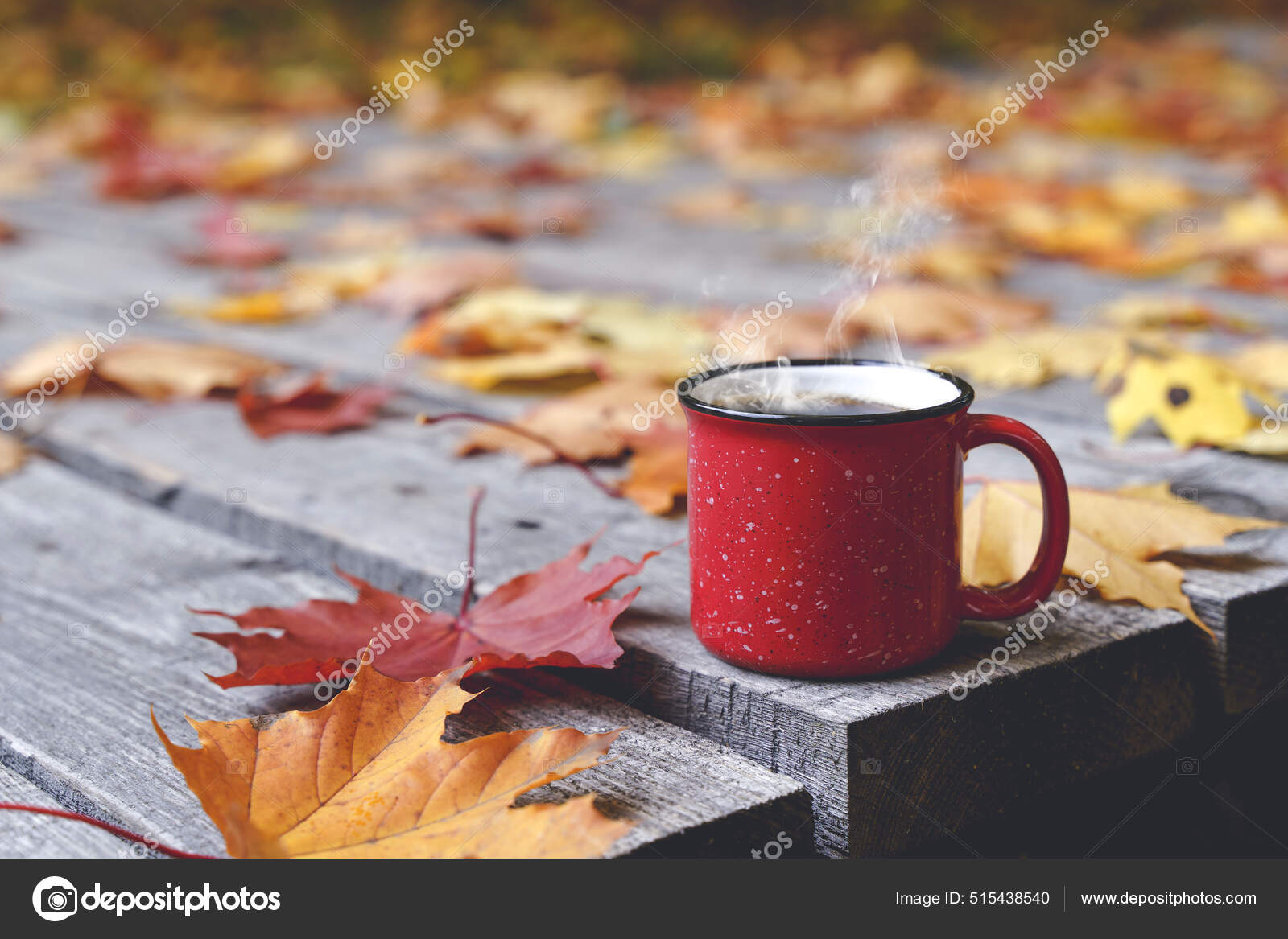 Herbstkaffee oder Tee in einer Tasse auf einem Holztisch vor dem  Hintergrund von gelbem Laub und Oktoberwetter. Herbsttrunk, Stimmung und  Wohlfühlkonzept. – Stockfoto © pustosh #515438540, image size:1600x1167
