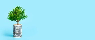 Mavi arka planda para ağacı. Amerikan dolarından büyüyen ağaç. Ekonomi ve para kavramı