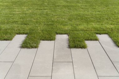 Bahçedeki ya da parktaki yürüyüş alanında çimen ve kaldırım yolu. Çimlerin peyzajı ve evin yakınındaki bölgenin gelişimi..