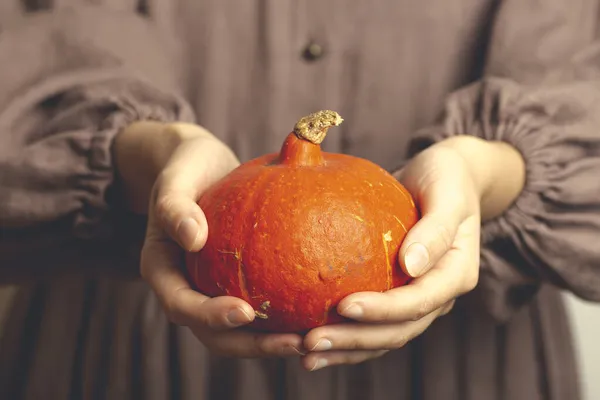 Pumpa i händerna på en flicka. Hösten orange pumpa i händerna på en hemmafru i en gammal retro klänning. Thanksgiving, Halloween, höststämning och skördekoncept — Stockfoto