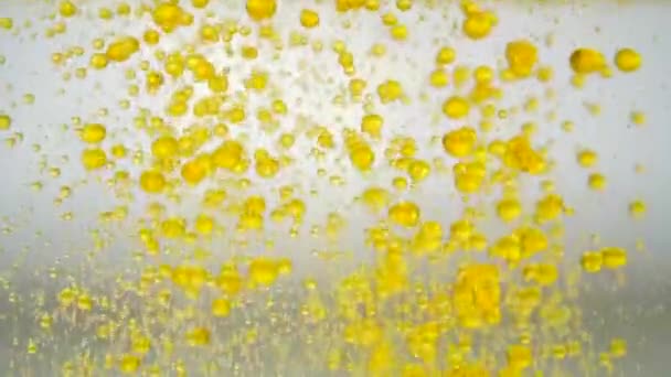 Oljebakgrund. Oljedroppar faller i vatten på en vit bakgrund. Guldflytande droppar i vatten. — Stockvideo