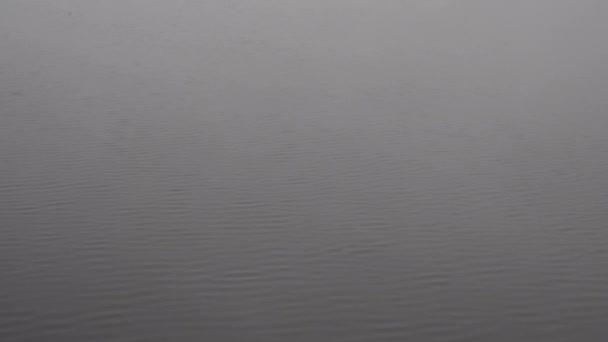 잔잔 한 물 배경. 안개낀 구름낀 날 호수 표면. 진정 하고, 평온하고, 침착하게 — 비디오