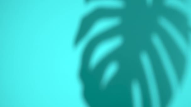 Sombra de fondo tropical. Selva borrosa hoja monstera sombra de la planta en la superficie de la pared azul en verano en un día soleado. — Vídeos de Stock