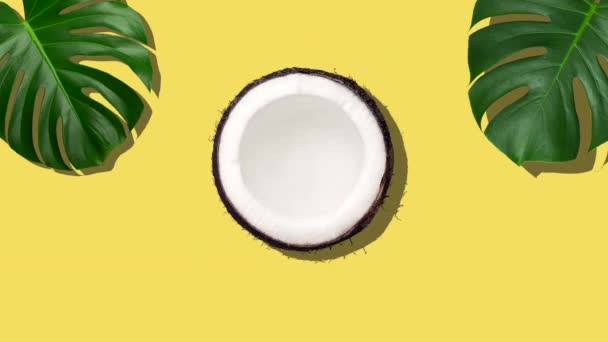 Kokosnoot zomer minimale achtergrond. Tropische kokosnoot fruit draait op een gekleurde achtergrond met palmbladeren in stop motion animatie. Zomer, rust, ontspanning, zon concept. — Stockvideo