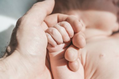 Bebek eli. Baba şefkatle kucaklıyor ve yeni doğan bebeğin küçük elini seviyor. Yeni hayat, ebeveyn koruması, bakım, aşk, çocuk ve bebek sağlığı