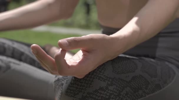 Femme Pratique Yoga Méditation Extérieur Position Lotus Par Temps Ensoleillé — Video