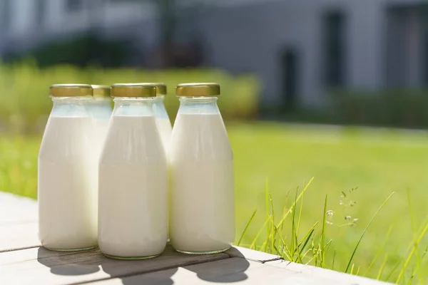 Una Botella Leche Fresca Una Soleada Granja Verano Prado Hierba —  Fotos de Stock