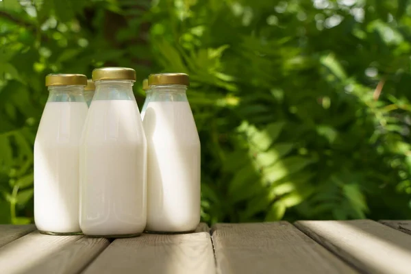 Una Botella Leche Fresca Una Soleada Granja Verano Prado Hierba —  Fotos de Stock