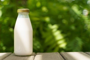 Güneşli bir yaz çayırında bir şişe taze süt, çimenler, doğa ve bitkiler. Model, ekolojik gıda, süt ürünleri konsepti. Yüksek kalite fotoğraf