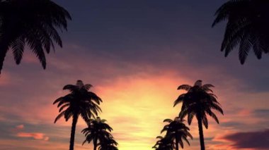 Palm trees at sunset. View of the silhouettes of tropical palm trees in motion along the coast by car during a beautiful evening sunset. 3d animation render. High quality 4k footage