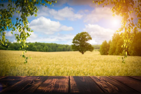 Table wood background in forest. Background of a blurred green summer forest with sunlight. High quality photo