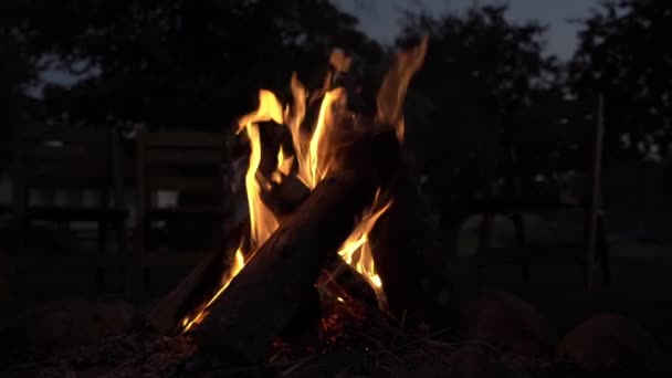 Kampta Geceleri Şenlik Ateşi Gece Ormanının Arka Planında Alevler Var — Stok video