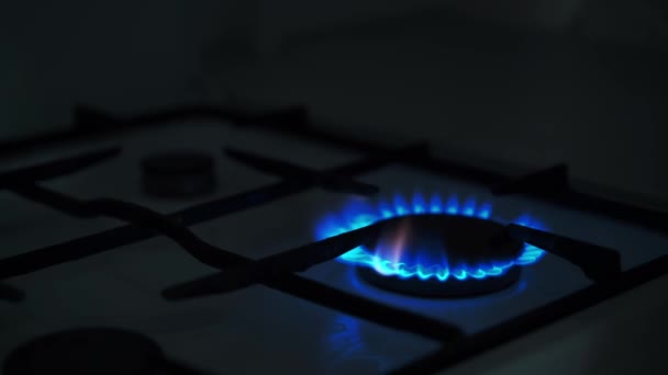 Gas Blue Stove Flame Use Propane Butane European Union Kitchen — 비디오