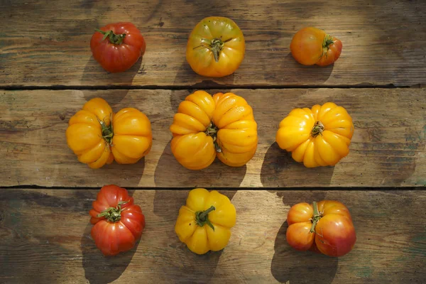 Autumn Harvest Food Background Organic Farm Vegetables Wooden Rustic Backdrop — Fotografia de Stock