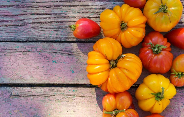 Autumn Harvest Food Background Organic Farm Vegetables Wooden Rustic Backdrop — Fotografia de Stock