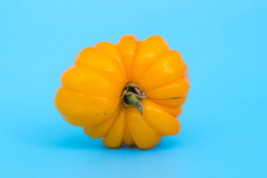 Çirkin sebze konsepti. Mavi asgari arkaplanda değişik şekillerde domatesler. Kusurlu bir metafor, kadın vücudu, fotoğrafçılık ve biçim sanatı. Yüksek kalite fotoğraf